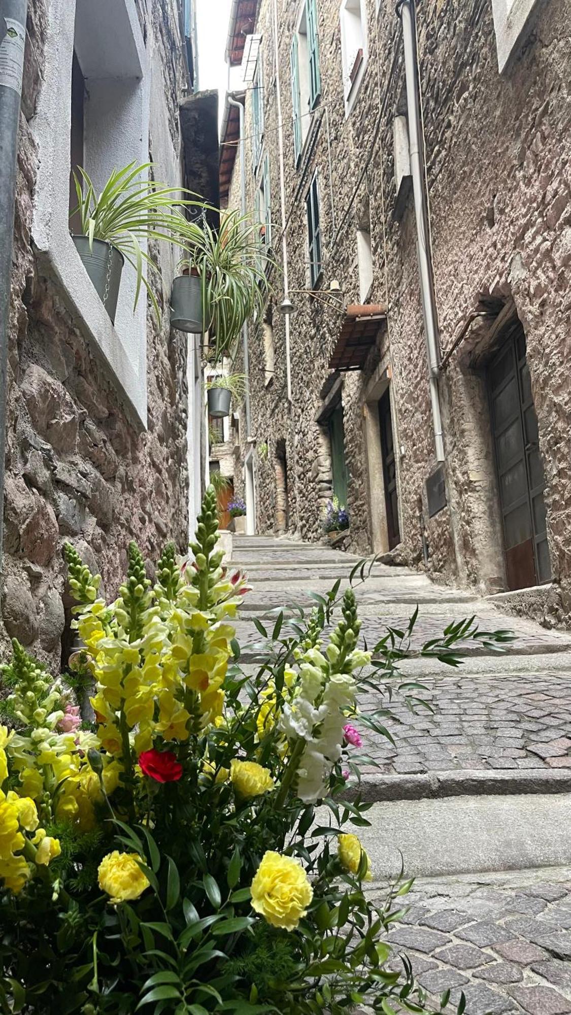 Le Bijou Di Dolceacqua, Per Un Momento Memorabile. Lägenhet Exteriör bild